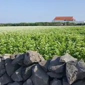 제주 2박 3알