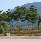 제주 동해내륙권 6박 7일