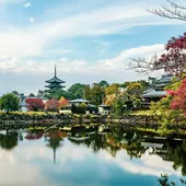 한국+일본 9박 10일