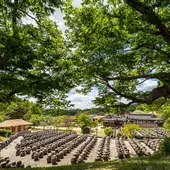한국+일본 9박 10일