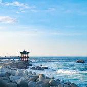 한국+일본 9박 10일